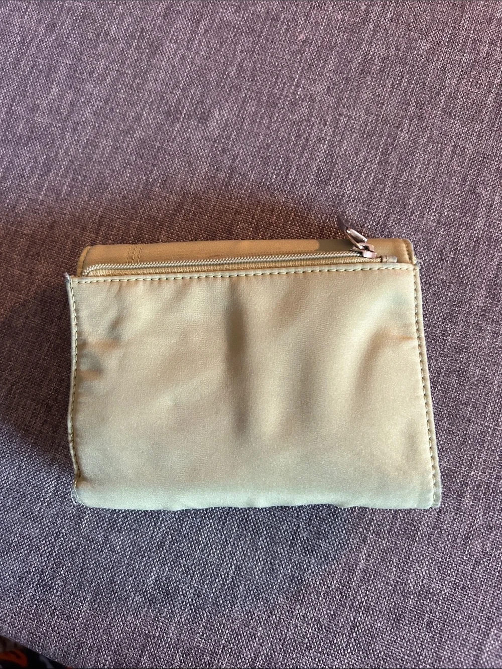 Fossil compact fold